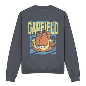 Garfield Unisex Adult Rad Sweatshirt / Charcoal